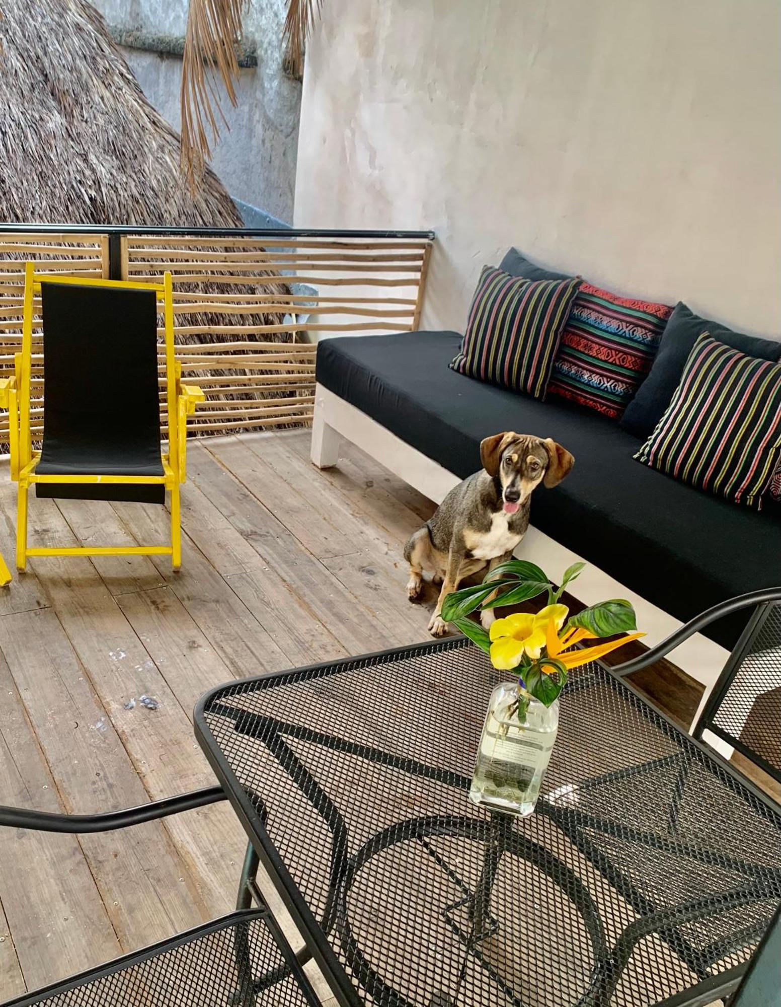 Sayulita Surf Bungalows ภายนอก รูปภาพ